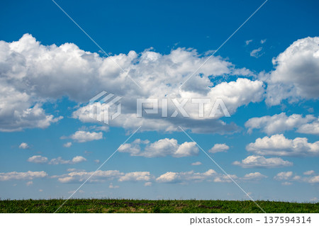 Spring meadows and blue sky 137594314