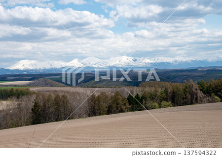 十勝山脈的春季農耕區和雪山 137594322