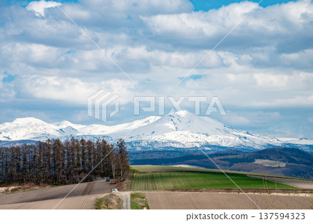 春季田間耕作區和雪山大雪山 137594323