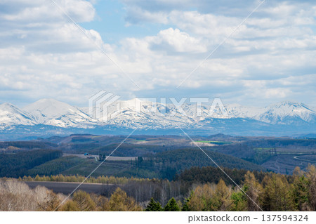 春暖花開的山丘和十勝山的皚皚雪峰 137594324