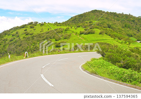 Izuyama Ridge Trail on the Izu Peninsula: A trail leading to Mount Kodaruma along the road 137594365