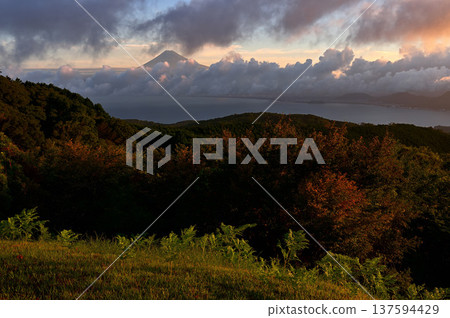 Suruga Bay and Mount Fuji at sunrise from Darumayama Plateau, Izu City, Shizuoka Prefecture Suruga Bay and Mount Fuji at sunrise from Darumayama Plateau, Izu City, Shizuoka Prefecture 137594429
