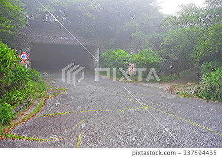 Izu Peninsula, Izu Mountain Ridge Trail, Toda Pass, Mt. Kinkanzan entrance and Mt. Kinkanzan second tunnel in the mist Izu Peninsula, Izu Mountain Ridge Trail, Toda Pass, Mt. Kinkanzan entrance and Mt. Kinkanzan second tunnel in the mist 137594435