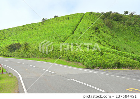 伊豆半島伊豆山脊步道:從西伊豆天際線的戶田停車場出發,沿著綠色山脊前進。 伊豆半島伊豆山脊步道:從西伊豆天際線的戶田停車場出發,沿著綠色山脊前進。 137594451