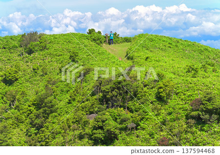 伊豆半島 伊豆山脊步道 夏季小木山峰 綠峰 137594468