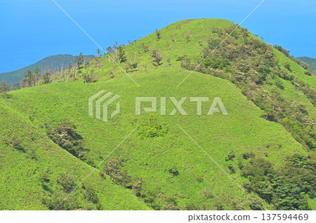 伊豆半島伊豆山脊步道:從甲岐山眺望青山和駿河灣 伊豆半島伊豆山脊步道:從甲岐山眺望青山和駿河灣 137594469