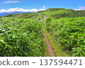Izu Peninsula: Summer Izuyama Ridge Trail, Mount Koki and Nishiizu Skyline 137594471