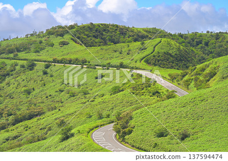 Izu Peninsula - Summer Izu Mountain Ridge Trail - The Nishiizu Skyline runs through the grassy mountain range 137594474