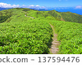 Izu Peninsula, Izu Mountain Ridge Trail in Summer, Green Mountains from the Mt. Daruma Trail 137594476