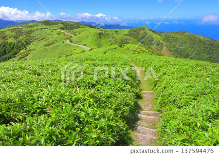 Izu Peninsula, Izu Mountain Ridge Trail in Summer, Green Mountains from the Mt. Daruma Trail 137594476