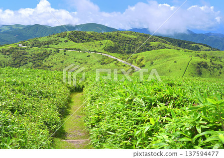 伊豆半島,夏季的伊豆山脊步道,從達摩山上可以欣賞到玉之山和幸木山。 伊豆半島,夏季的伊豆山脊步道,從達摩山上可以欣賞到玉之山和幸木山。 137594477