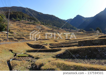 Rice terraces at Maruyama Senmaida (Kumano City, Mie Prefecture) Rice terraces at Maruyama Senmaida (Kumano City, Mie Prefecture) 137594501