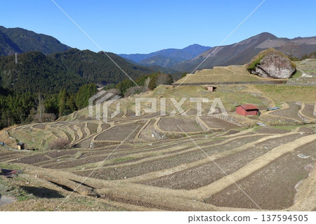 Rice terraces at Maruyama Senmaida (Kumano City, Mie Prefecture) 137594505