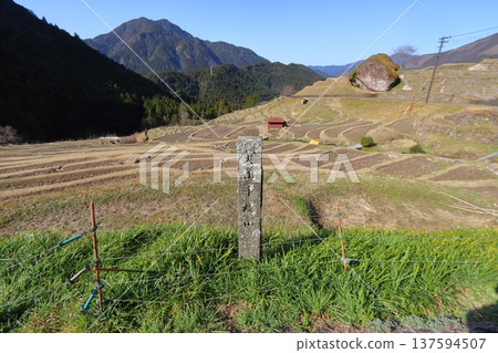 Rice terraces at Maruyama Senmaida (Kumano City, Mie Prefecture) 137594507