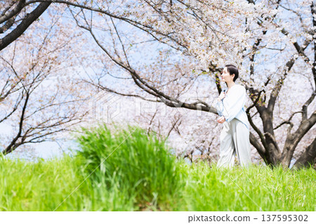 一位年輕女子沿著一排櫻花樹漫步。生活方式圖片 一位年輕女子沿著一排櫻花樹漫步。生活方式圖片 137595302