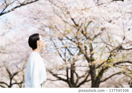 Young woman looking up at cherry blossoms Lifestyle image Young woman looking up at cherry blossoms Lifestyle image 137595306