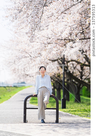 一位年輕女子在一排櫻花樹下擺姿勢。生活方式圖片 一位年輕女子在一排櫻花樹下擺姿勢。生活方式圖片 137595313