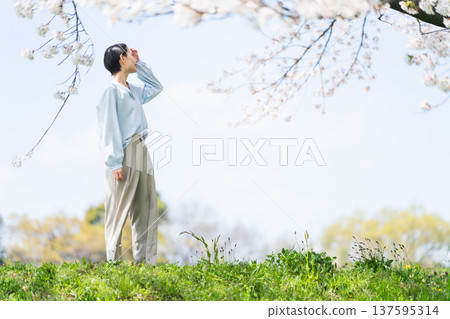年輕女子仰望櫻花樹生活方式圖像 137595314