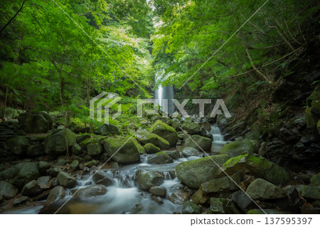 Waterfalls and rivers surrounded by fresh greenery Waterfalls and rivers surrounded by fresh greenery 137595397