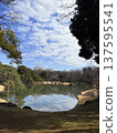 Sunny weather reflected in the pond 137595541