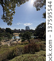 Bright Sun 137595544