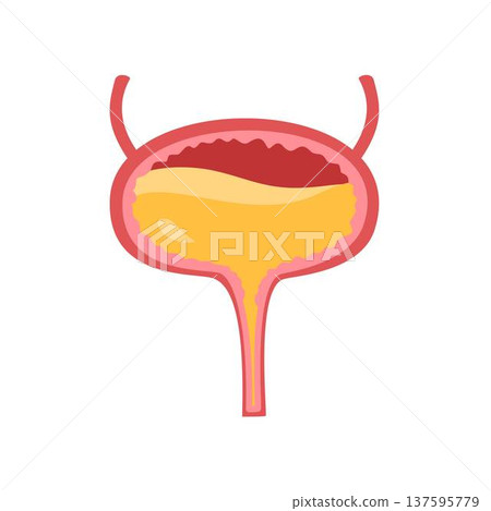 Bladder Incontinence Urge 137595779
