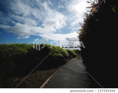 Green path and blue sky scenery Green path and blue sky scenery 137595939