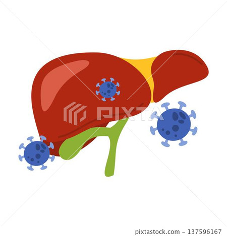 liver and viral hepatitis viruses liver and viral hepatitis viruses 137596167