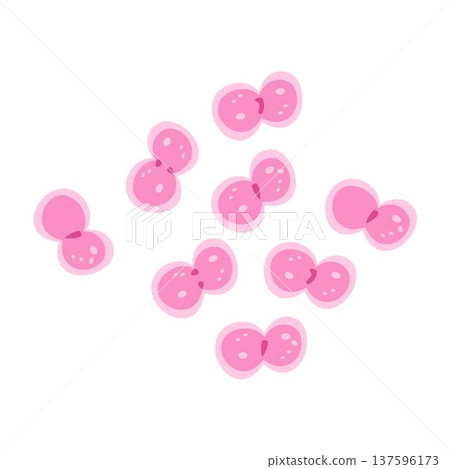 Pink Cell Division Animated Illustration of Binary Fission Pink Cell Division Animated Illustration of Binary Fission 137596173