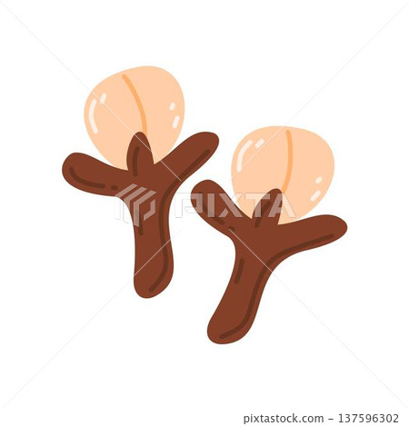 Dried Cloves, herb Dried Cloves, herb 137596302