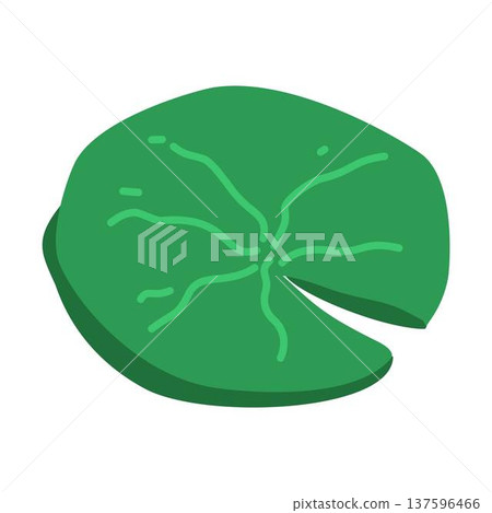 Lotus Leaf, Floating Giant Leaves of Victoria Amazonica Plant Lotus Leaf, Floating Giant Leaves of Victoria Amazonica Plant 137596466