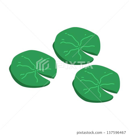 Lotus leaf, Illustration of a Simple Lotus Leaf Lotus leaf, Illustration of a Simple Lotus Leaf 137596467