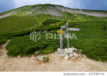Northern Alps, Mount Sugoroku and the signpost at the fork in the road 137596730