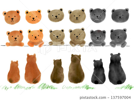 cute bear illustration set cute bear illustration set 137597004