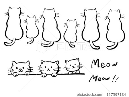 Hand drawn cat illustration Hand drawn cat illustration 137597184