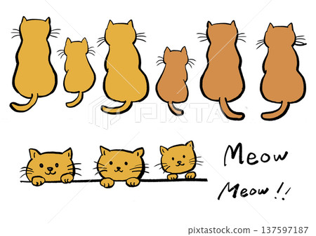 Hand drawn white cat illustration Hand drawn white cat illustration 137597187