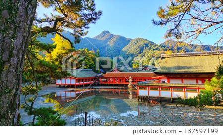 【廣島縣】日本三大名勝之一的宮島嚴島神社安藝 137597199