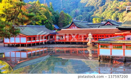 【廣島縣】日本三大名勝之一的宮島嚴島神社安藝 【廣島縣】日本三大名勝之一的宮島嚴島神社安藝 137597200