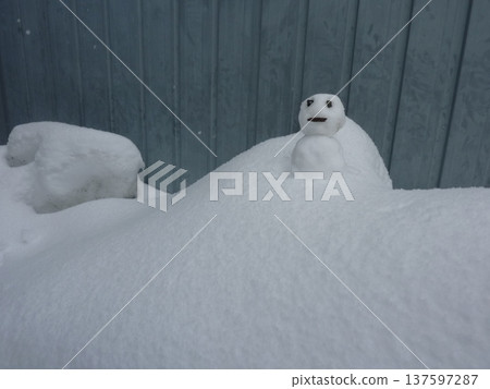 雪人，可愛，寒冷，雪人，自然，雪人，白色，留白，可愛 137597287