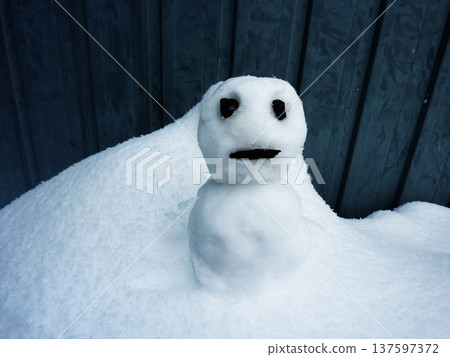 雪人,可愛,寒冷,雪人,自然,雪人,白色,留白 雪人,可愛,寒冷,雪人,自然,雪人,白色,留白 137597372