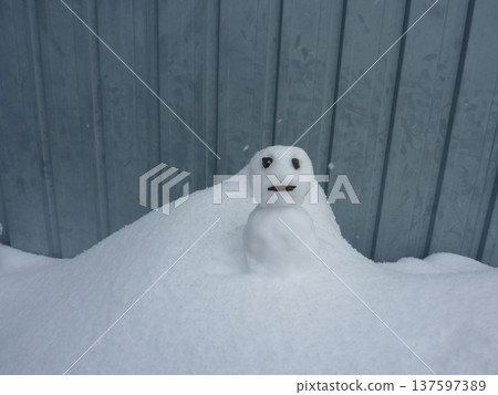 雪人，可愛，寒冷，雪人，自然，雪人，白色，留白 137597389