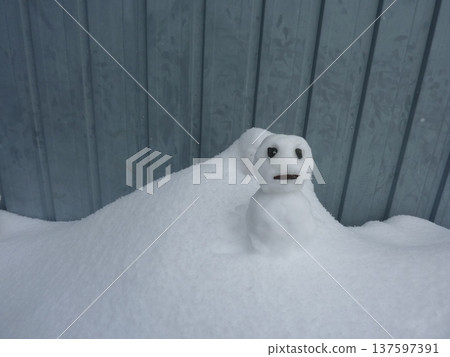 雪人，可愛，寒冷，雪人，自然，雪人，白色，留白 137597391
