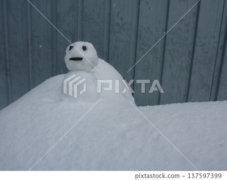 雪人,可愛,寒冷,雪人,自然,雪人,白色,留白 雪人,可愛,寒冷,雪人,自然,雪人,白色,留白 137597399