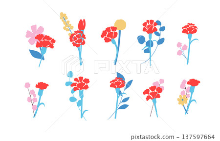 母親節插畫。母親節康乃馨和春季花卉插畫集。 母親節插畫。母親節康乃馨和春季花卉插畫集。 137597664