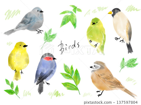 手繪鳥類插圖集 手繪鳥類插圖集 137597804