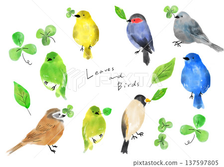 Illustration set of small birds with clover Illustration set of small birds with clover 137597805