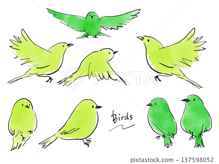 色彩鮮豔的鳥類插圖素材 色彩鮮豔的鳥類插圖素材 137598052