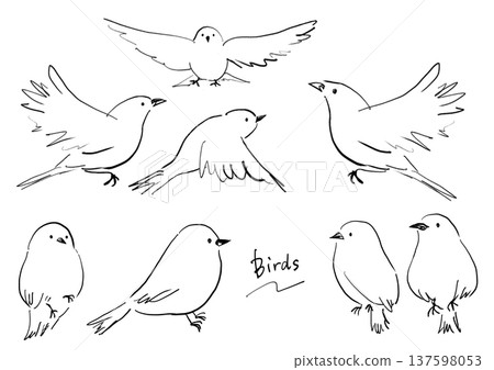 可愛的鳥兒線條畫插圖 可愛的鳥兒線條畫插圖 137598053