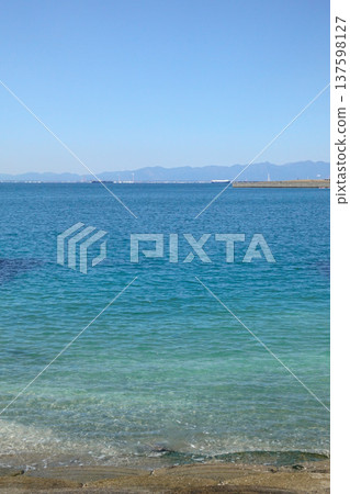Calm sea and cormorants on a clear day Calm sea and cormorants on a clear day 137598127