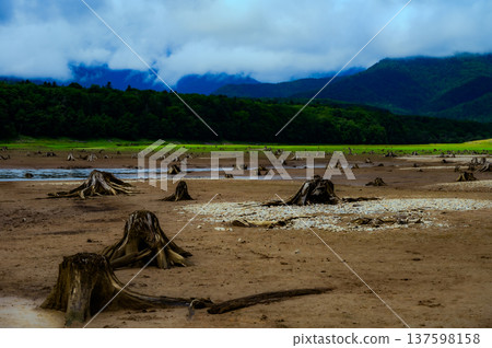 wilderness 137598158